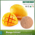 High Quality Flavonoids 5% wild mango seed powder extract, mango extract